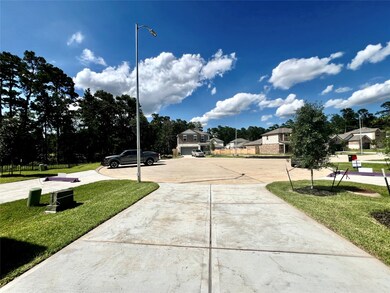 8131 Arrowroot Ln, Magnolia, TX 77354 - photo 3