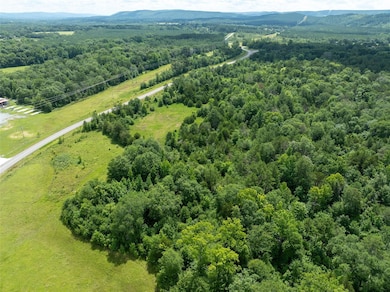 Nolia Loop, Nashoba, OK 74558 - photo 7