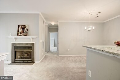 1516 N Point Dr unit 103, Reston, VA 20194 - photo 3