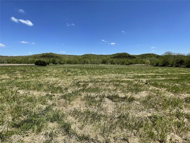 17906 Cliff Rd, Union Township, MO 65459 - photo 6