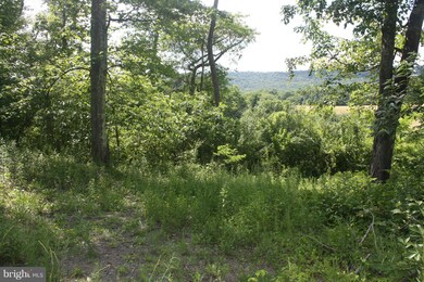 0 Hampshire Grade Rd unit 1002439090, Hedgesville, WV 25427 - photo 3