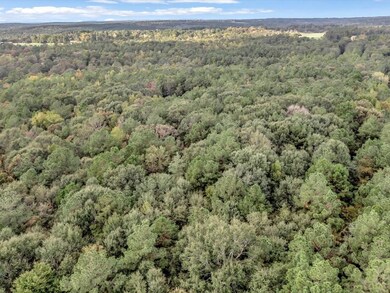 TBD County Road 711, Nacogdoches, TX 75964 - photo 4