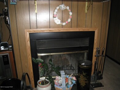 111 Hawthorn Rd, Albrightsville, PA 18210 - photo 3