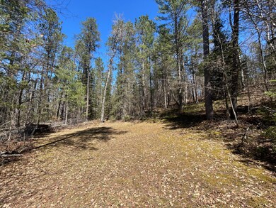 80AC off Razorback Rd, Conover, WI 54519 - photo 5