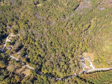 0 Hog Liver Rd unit 148331, Carrollton, GA 30117 - photo 2