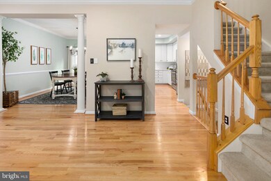 20354 Briarcliff Terrace, Sterling, VA 20165 - photo 2