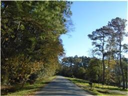 0 Cr 432, Dayton, TX 77535 - photo 2