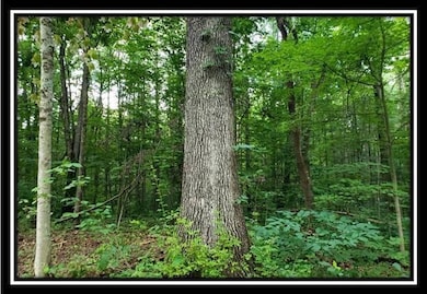 image002