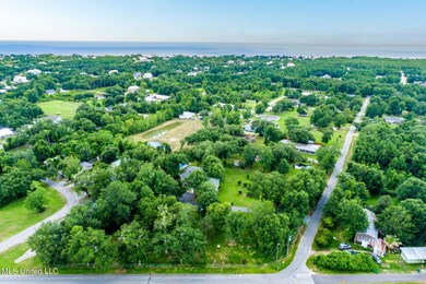 4 Drone View (1 of 4)