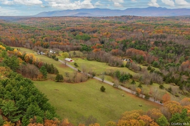 2021-2071 Potic Mountain Rd, Earlton, NY 12051 - photo 7