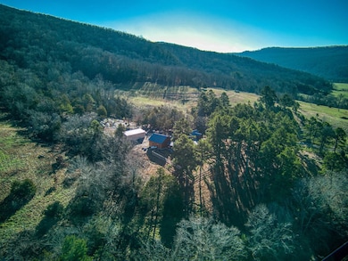 12278 Arkansas 27, Marshall, AR 72650 - photo 7