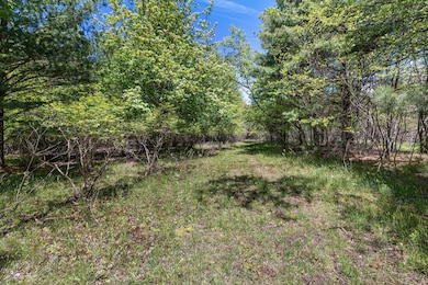 3-web-or-mls-2R9A8567