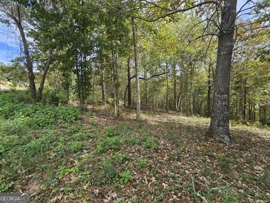 42 Lookout Point, Toccoa, GA 30577 - photo 6