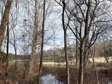 0 Hunters Point unit 11I M 39 649267, Nellysford, VA 22958 - photo 5