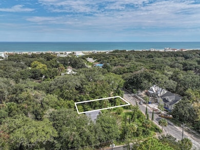 0 Lewis Street Lot 9 unit 114316, Fernandina Beach, FL 32034 - photo 2