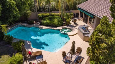 What a Wonderful Backyard!!