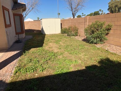 BACK YARD II