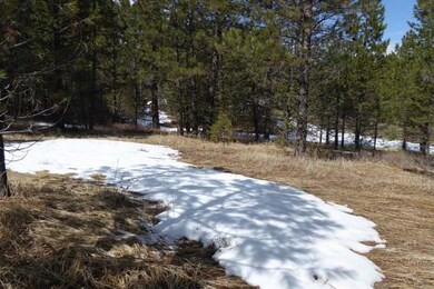 4 Blue Spruce Place unit 6, Cascade, ID 83611 - photo 5