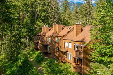 10500 Mt Baker Hwy unit 905, Deming, WA 98244 - photo 3