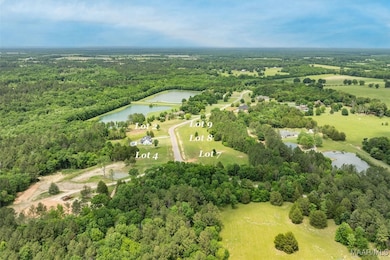 Lot 2 N Leahmon Ln, Mathews, AL 36052 - photo 3