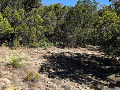 19693 Bluehill Pass, Helotes, TX 78023 - photo 7