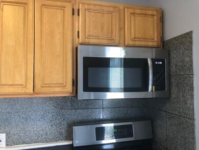 2 Tracton Ave unit 2, Boston, MA 02136 - photo 2