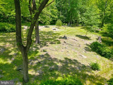 0 Old Hollow Rd unit VARP2001096, Sperryville, VA 22740 - photo 5