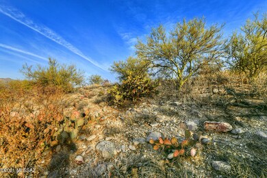 DSC_9085A