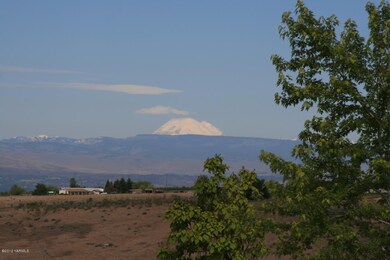 View of Mt Rainier