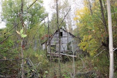 burned down remains
