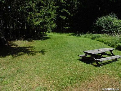 Yard.