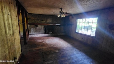 177 Dudney Ln, Chadbourn, NC 28431 - photo 4