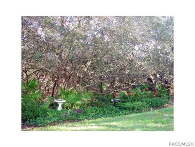 6 Rudbeckia Ct, Homosassa, FL 34446 - photo 3