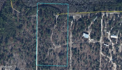 0 NW White Rd unit 781877, Altha, FL 32421 - photo 5