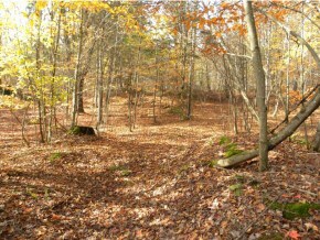 Lot #4 Spaulding Rd, Saint Johnsbury, VT 05819 - photo 4