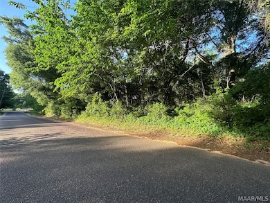 314 Mildred St, Ozark, AL 36360 - photo 2