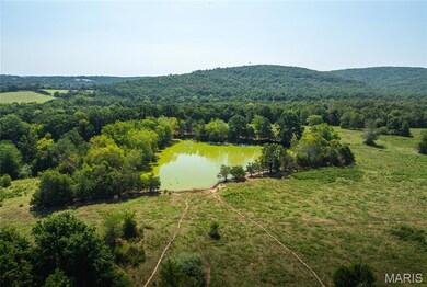 Aerial view of a nearby body of water and a forest