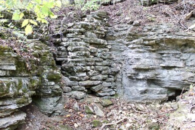 0 Farm Road 2100, Jenkins Township, MO 65605 - photo 7