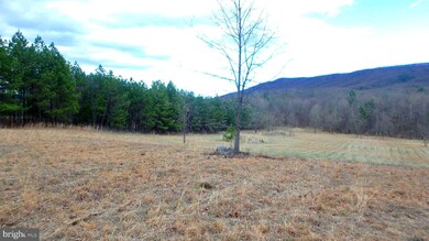Lot 78 Trough View Rd, Old Fields, WV 26836 - photo 7