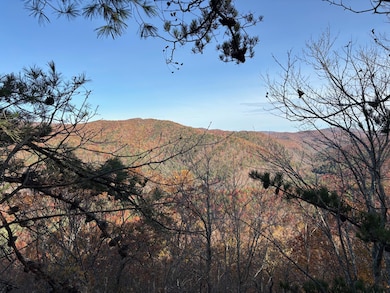 0 Cone Creek Rd, Gap Mills, WV 24941 - photo 6