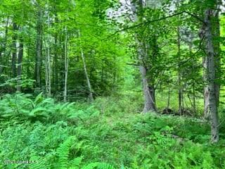 Lot 4 Pic 7