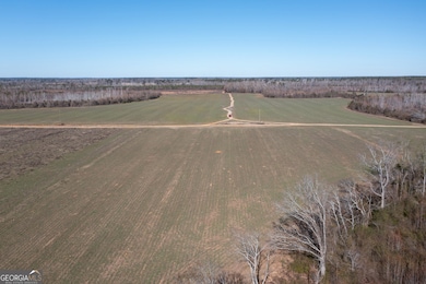 10544 Georgia 17, Wadley, GA 30477 - photo 5