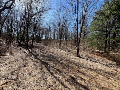 0 Clamtown Rd, New Ringgold, PA - photo 3