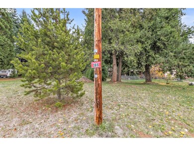 285 Mill Creek Dr, Prospect, OR 97536 - photo 5
