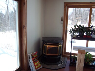 pellet stove