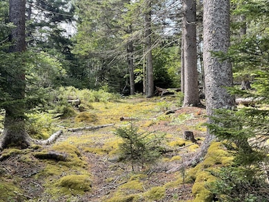 0A Old Harbor Rd, Vinalhaven, ME 04863 - photo 7