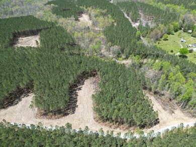 32 Ac Thomas Springs Rd, Crossville, TN 38572 - photo 2