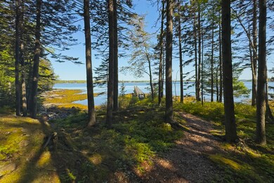 Scenic path to the pier