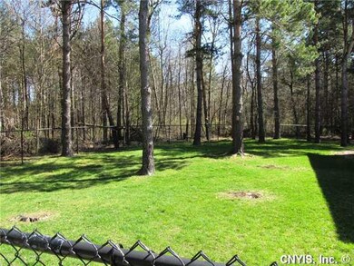 Yard/Garden Fenced back yard
