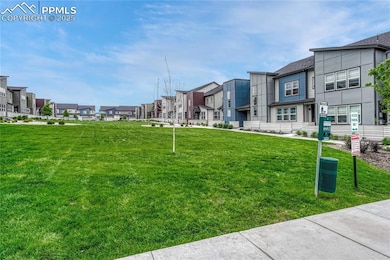 10793 White Diamond Point, Colorado Springs, CO 80908 - photo 6